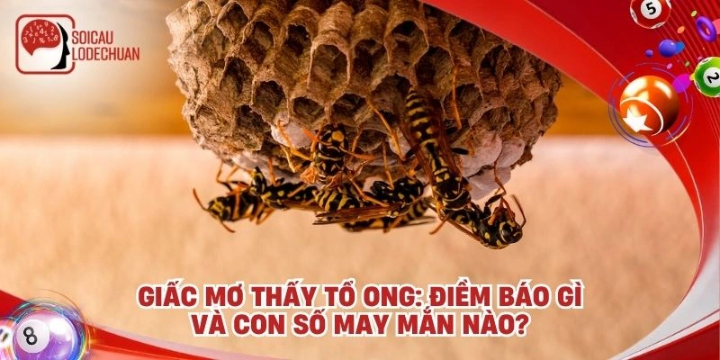 Giấc mơ thấy tổ ong: điềm báo gì và con số may mắn nào?