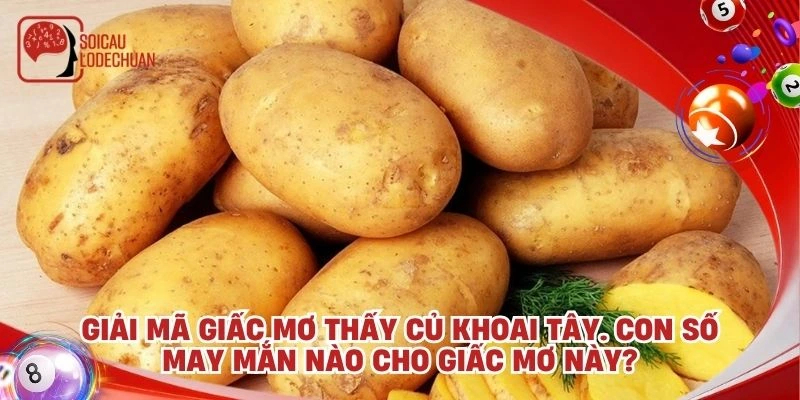 Giải mã giấc mơ thấy củ khoai tây. Con số may mắn nào cho giấc mơ này?