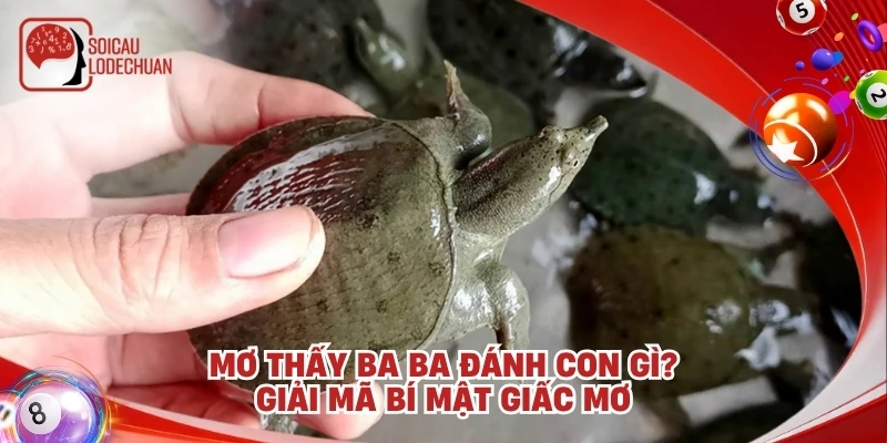 Mơ thấy ba ba đánh con gì? Giải mã bí mật giấc mơ