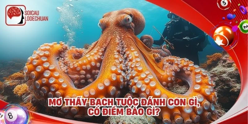 Mơ thấy bạch tuộc đánh con gì, có điềm báo gì?