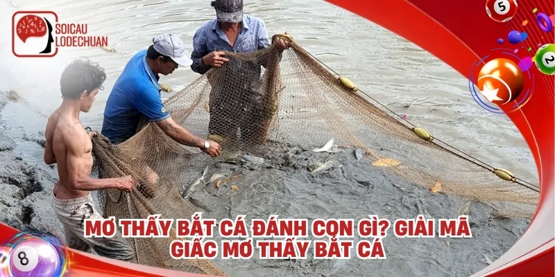 Mơ thấy bắt cá đánh con gì? Giải mã giấc mơ thấy bắt cá