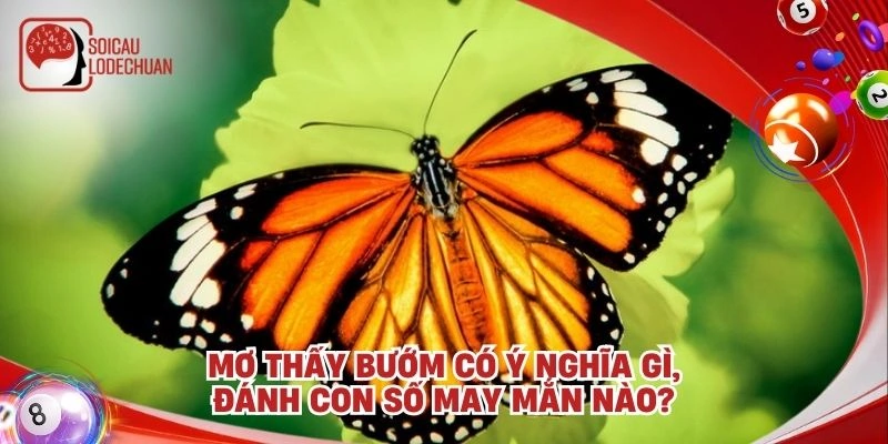 Mơ thấy bướm có ý nghĩa gì, đánh con số may mắn nào?