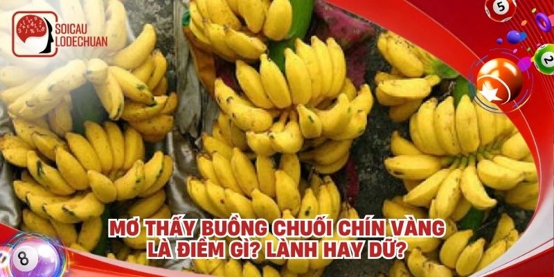 Mơ thấy buồng chuối chín vàng là điềm gì? Lành hay dữ?
