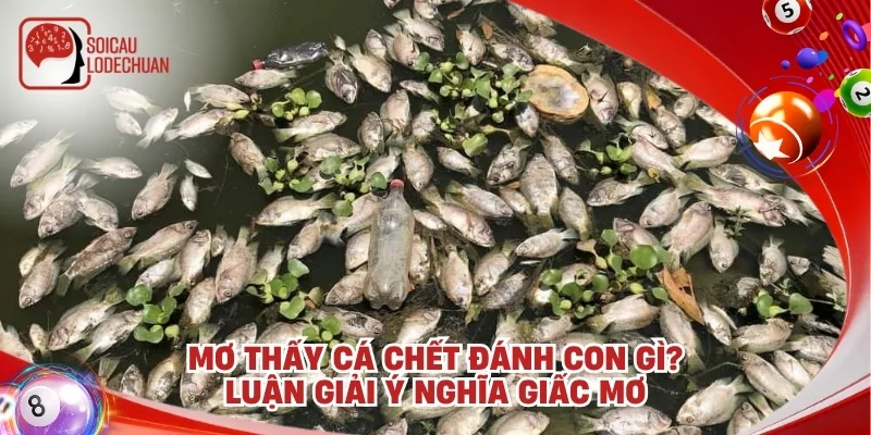 Mơ thấy cá chết đánh con gì? Điềm báo của giấc mơ