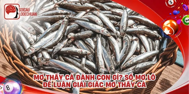 Mơ thấy cá đánh con gì? Sổ mơ lô đề luận giải giấc mơ thấy cá