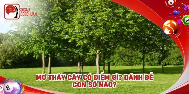 Mơ thấy cây có điềm gì? Đánh đề con số nào?
