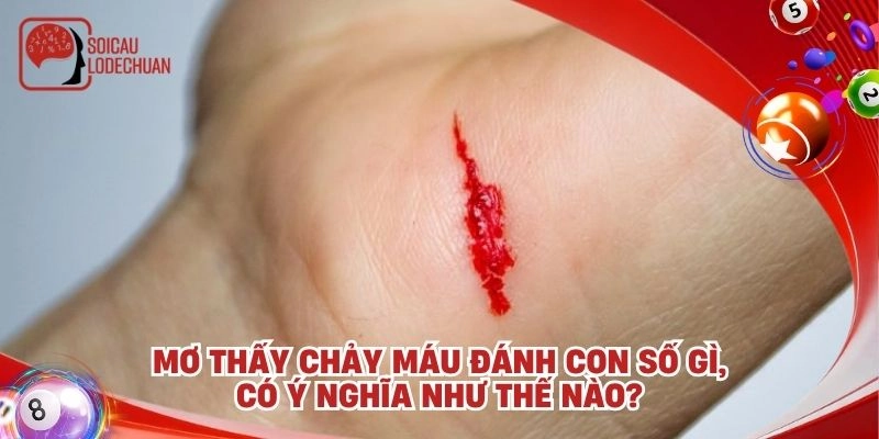 Mơ thấy chảy máu đánh con số gì, có ý nghĩa như thế nào?