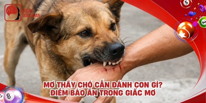 Mơ thấy chó cắn đánh con gì? Điềm báo ẩn trong giấc mơ