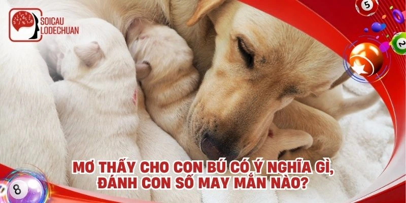 Mơ thấy cho con bú có ý nghĩa gì, đánh con số may mắn nào?