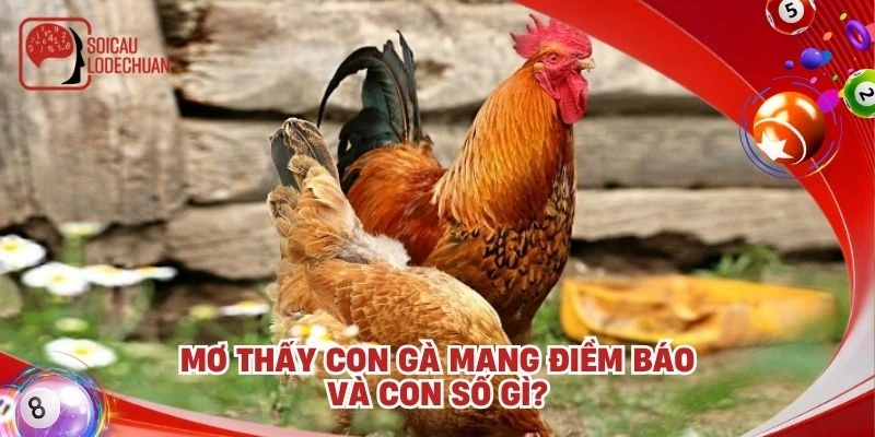 Mơ thấy con gà mang điềm báo và con số gì?