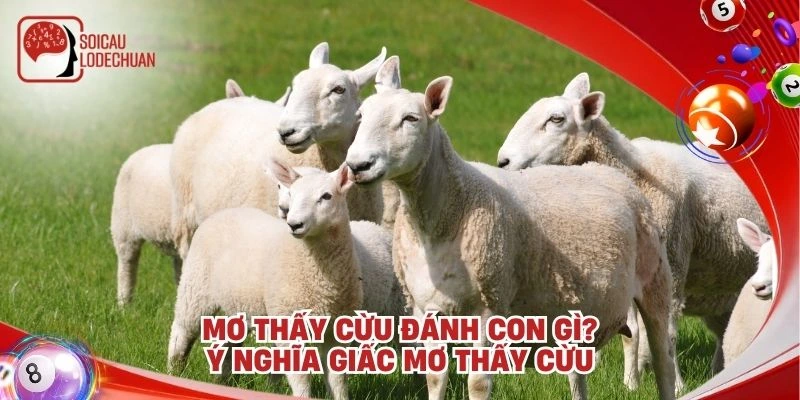 Mơ thấy Cừu đánh con gì? Ý nghĩa giấc mơ thấy cừu
