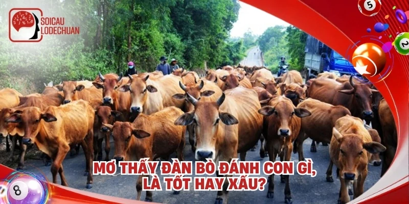 Mơ thấy đàn bò đánh con gì, là tốt hay xấu?