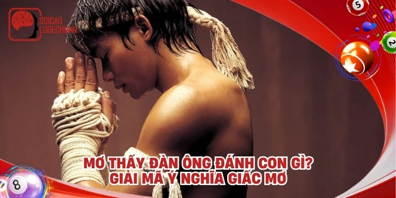Mơ thấy đàn ông đánh con gì? Giải mã ý nghĩa giấc mơ