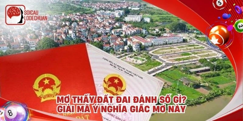Mơ thấy đất đai đánh số gì? Giải mã ý nghĩa giấc mơ này