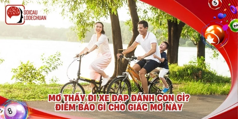 Mơ thấy đi xe đạp đánh con gì? Điềm báo gì cho giấc mơ này