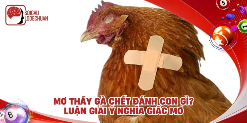 Mơ thấy gà chết đánh con gì? Luận giải ý nghĩa giấc mơ