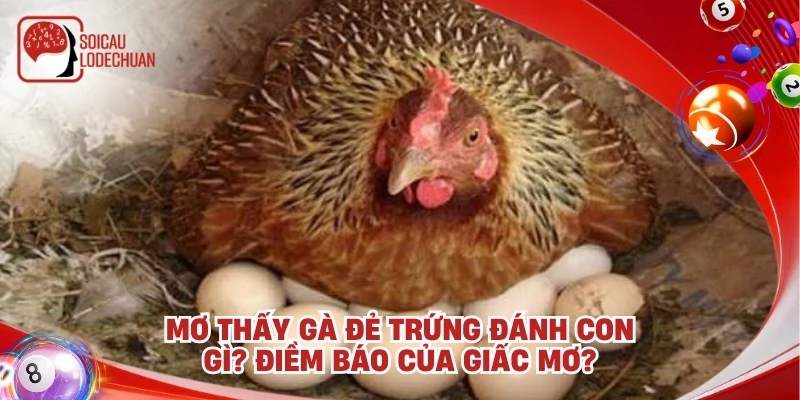 Mơ thấy gà đẻ trứng đánh con gì? Điềm báo của giấc mơ?