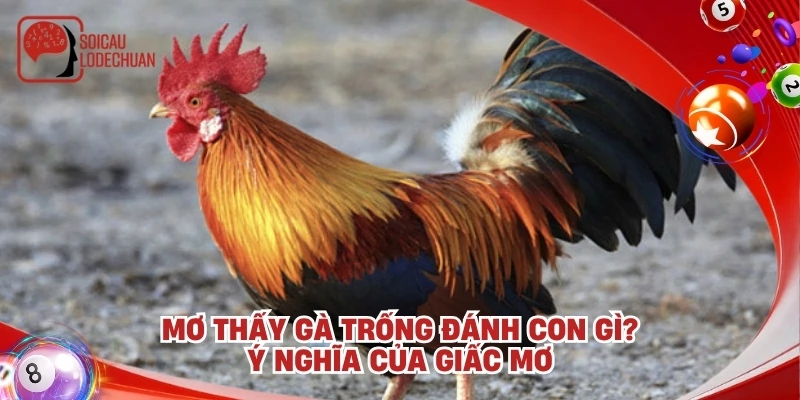 Mơ thấy gà trống đánh con gì? Ý nghĩa của giấc mơ