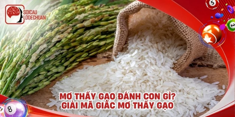 Mơ thấy gạo đánh con gì? Giải mã giấc mơ thấy gạo