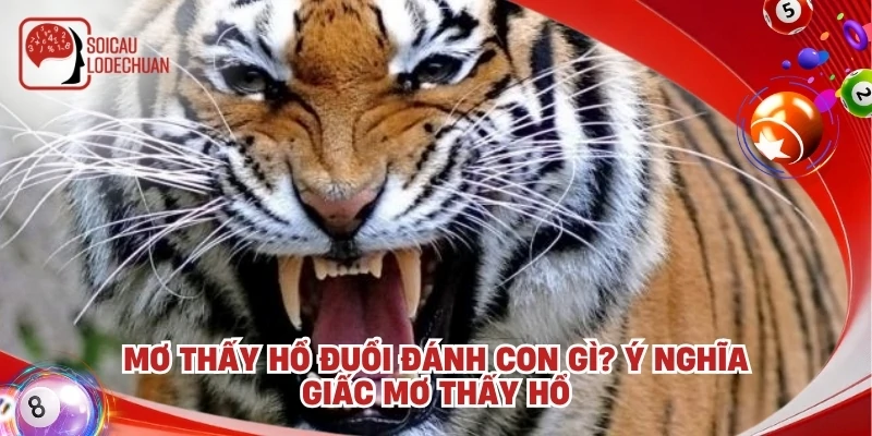 Mơ thấy hổ đuổi đánh con gì? Ý nghĩa giấc mơ thấy hổ