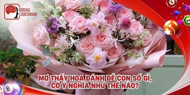 Mơ thấy hoa đánh đề con số gì, có ý nghĩa như thế nào?