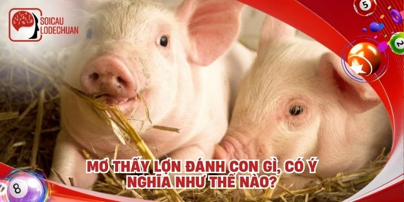 Mơ thấy Lợn đánh con gì, có ý nghĩa như thế nào?