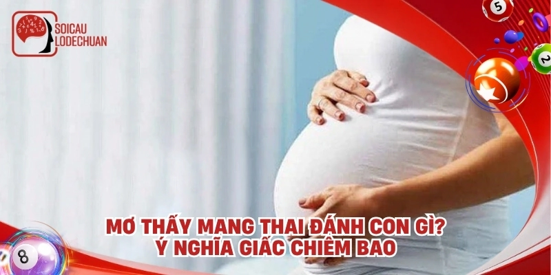 Mơ thấy mang thai đánh con gì? Ý nghĩa giấc chiêm bao
