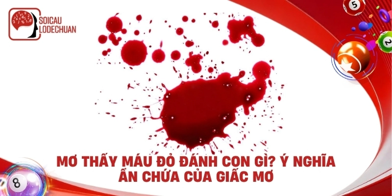 Mơ thấy máu đỏ đánh con gì? Ý nghĩa ẩn chứa của giấc mơ