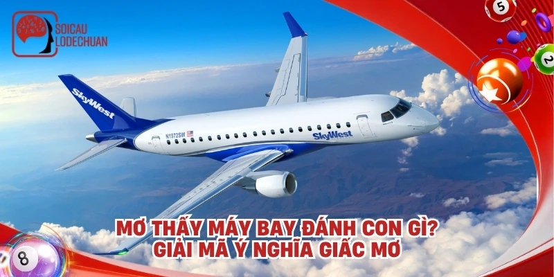 Mơ thấy máy bay đánh con gì? Giải mã ý nghĩa giấc mơ