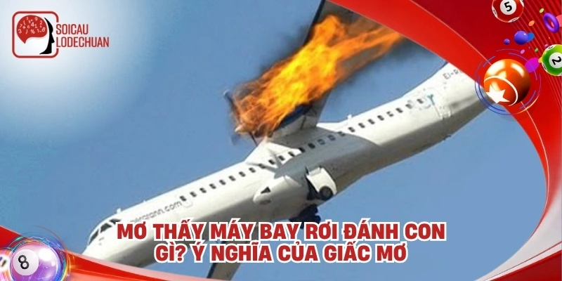Mơ thấy máy bay rơi đánh con gì? Ý nghĩa của giấc mơ