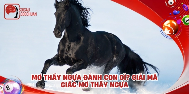 Mơ thấy ngựa đánh con gì? Giải mã giấc mơ thấy ngựa