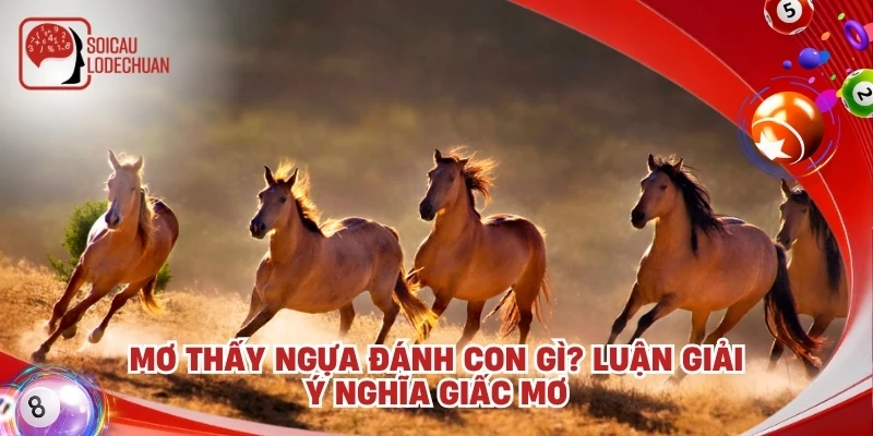 Mơ thấy ngựa đánh con gì? Luận giải ý nghĩa giấc mơ