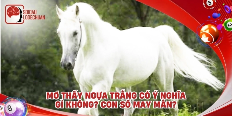 Mơ thấy ngựa trắng có ý nghĩa gì không? Con số may mắn?