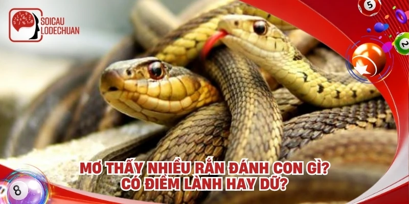 Mơ thấy nhiều rắn đánh con gì? Có điềm lành hay dữ?