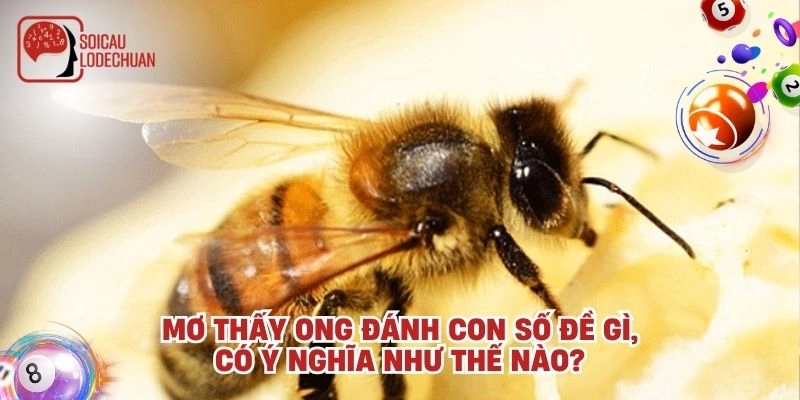 Mơ thấy ong đánh con số đề gì, có ý nghĩa như thế nào?