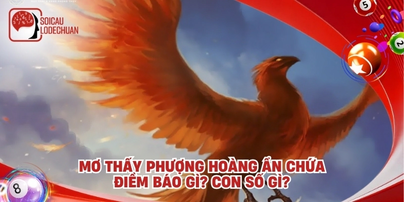 Mơ thấy phượng hoàng ẩn chứa điềm báo gì? con số gì?