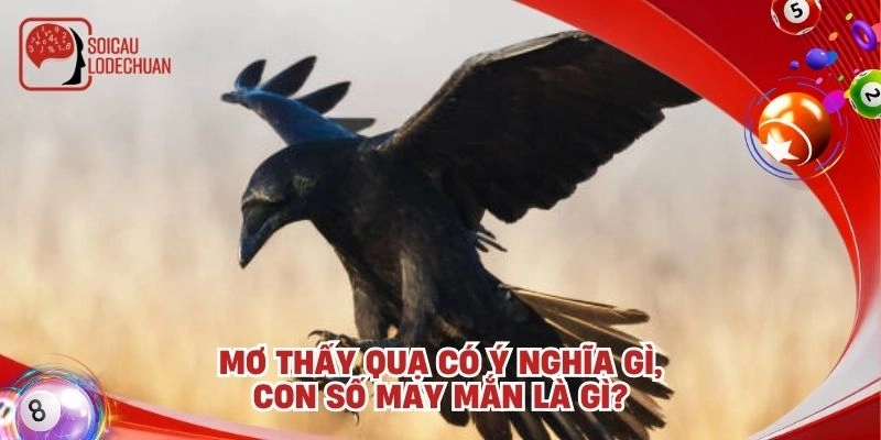 Mơ thấy quạ có ý nghĩa gì, con số may mắn là gì?