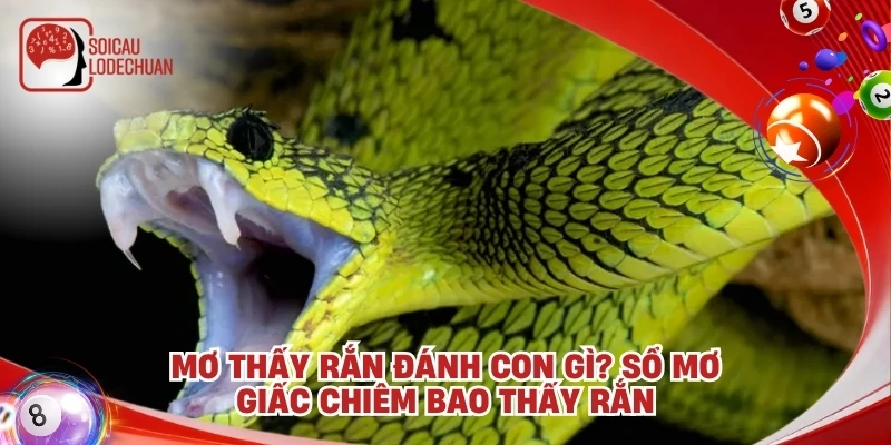 Mơ thấy rắn đánh con gì? Sổ mơ giấc chiêm bao thấy Rắn
