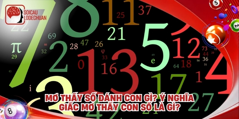 Mơ thấy số đánh con gì? Điềm báo giấc mơ thấy số