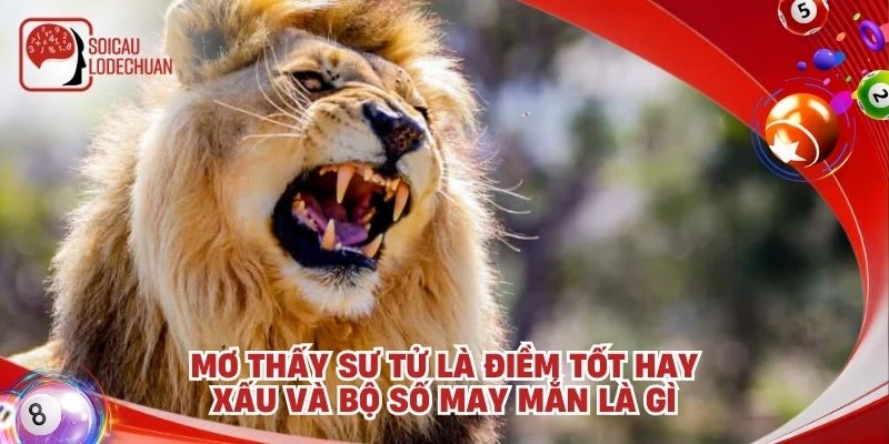 Mơ thấy sư tử là điềm tốt hay xấu và bộ số may mắn là gì