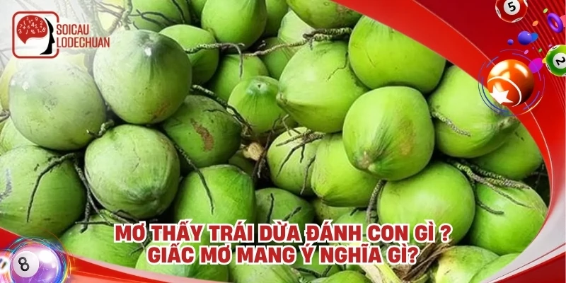 Mơ thấy trái dừa đánh con gì ? Giấc mơ mang ý nghĩa gì?