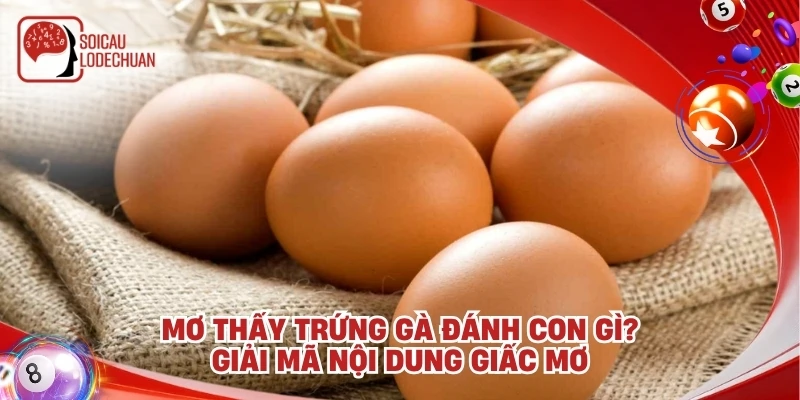 Mơ thấy trứng gà đánh con gì? Giải mã nội dung giấc mơ