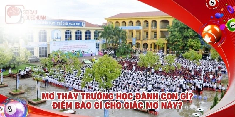 Mơ thấy trường học đánh con gì? Điềm báo gì cho giấc mơ này?