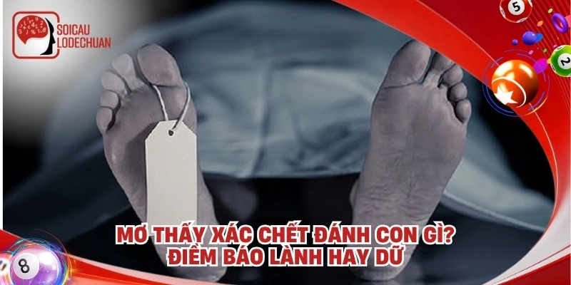 Mơ thấy xác chết đánh con gì? Điềm báo lành hay dữ