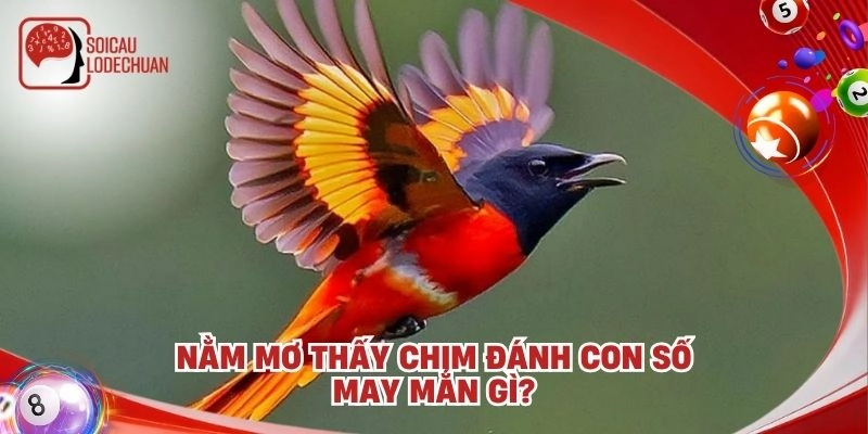 Nằm mơ thấy chim đánh con số may mắn gì?