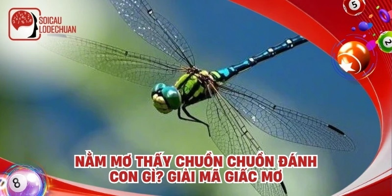 Nằm mơ thấy chuồn chuồn đánh con gì? Giải mã giấc mơ