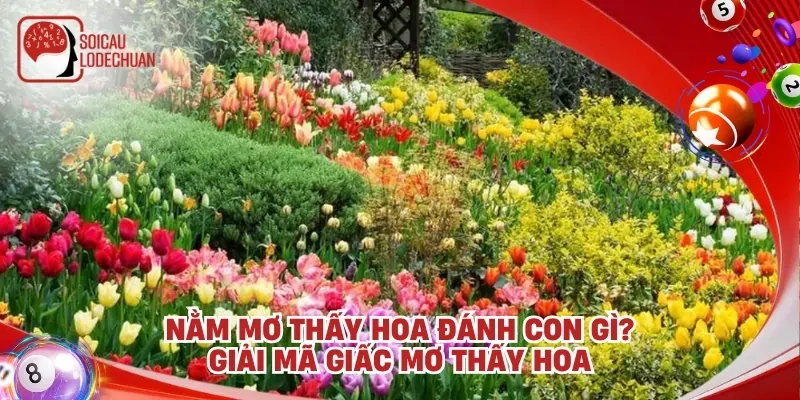 Nằm mơ thấy hoa đánh con gì? Giải mã giấc mơ thấy hoa