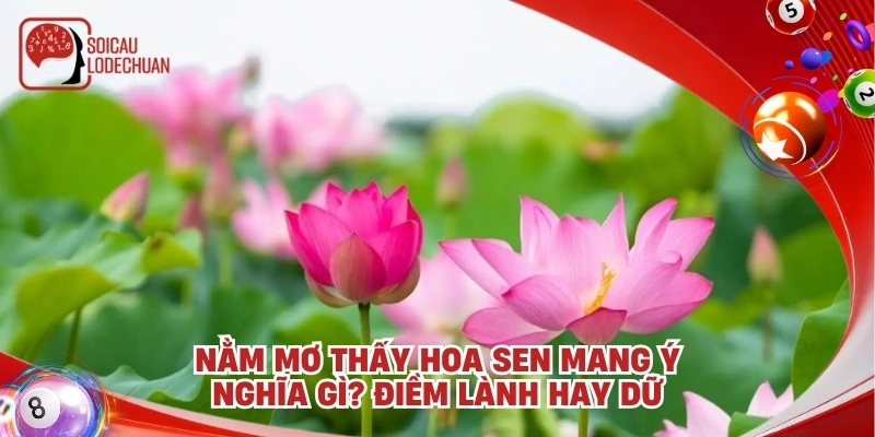 Nằm mơ thấy hoa sen mang ý nghĩa gì? Điềm lành hay dữ