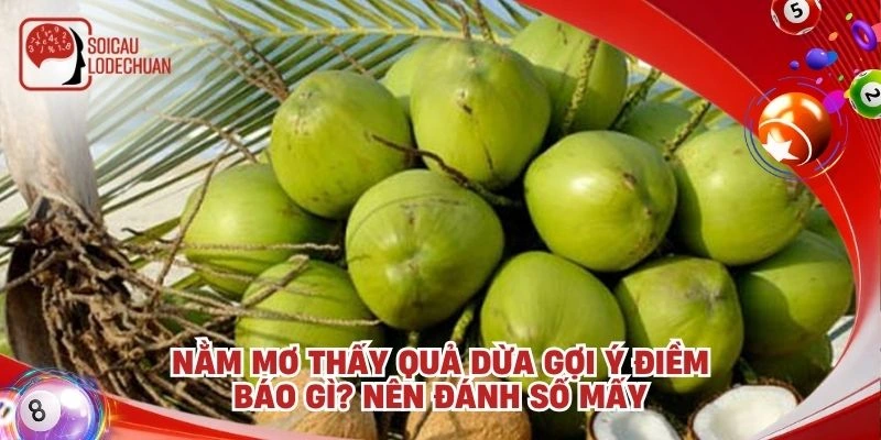 Nằm mơ thấy quả dừa gợi ý điềm báo gì? Nên đánh số mấy