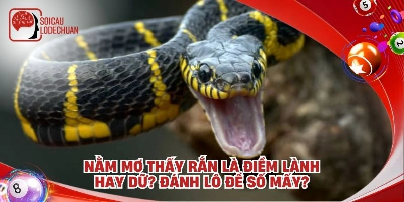 Nằm mơ thấy rắn là điềm lành hay dữ? Đánh lô đề số mấy?